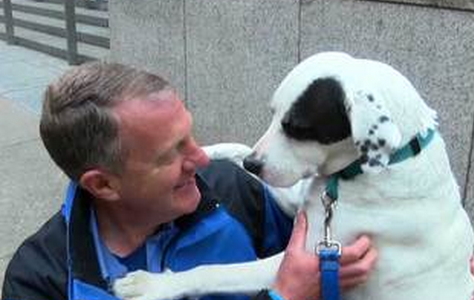 Bill and Henry together with the Liberty Wristband dog walking system