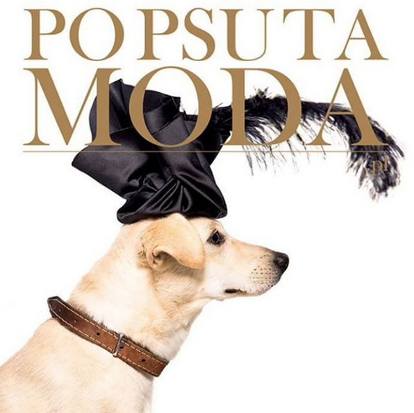 pup wearing funny hat on fake magazine cover