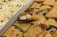 food from second servings non-profit in Houston