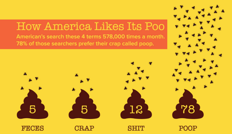 poop infographic showing popularity of poo terms