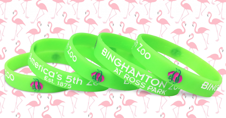 binghamton zoo wristbands in bright green