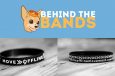 Behind the Wristbands The Offline Movement
